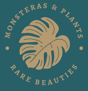 Monsteras And Plants
